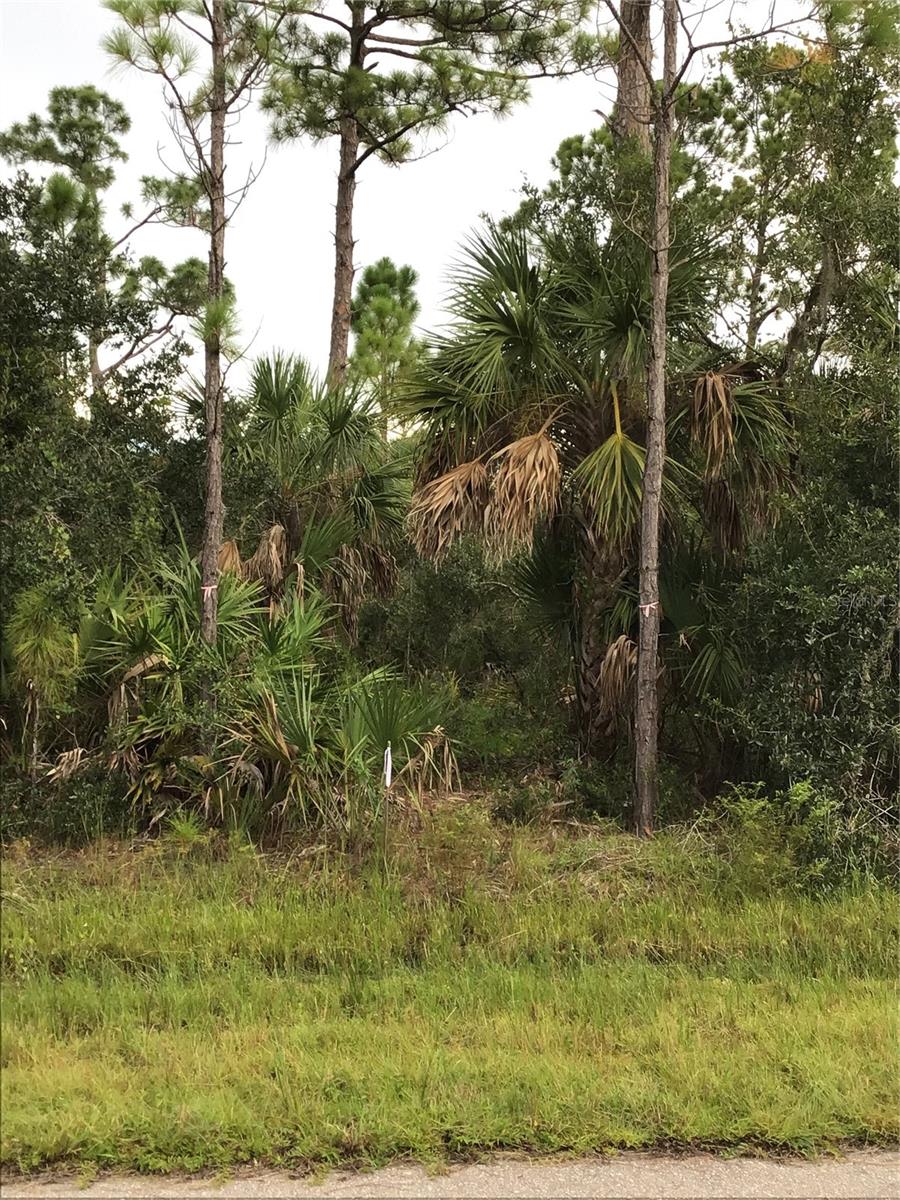 14202,m 14210,14218,14226 HYDRANGEA AVE, PORT CHARLOTTE, FL — photo 4