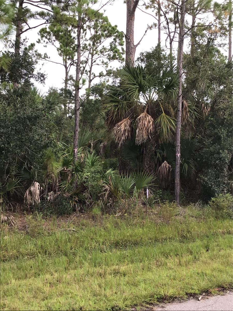 14202,m 14210,14218,14226 HYDRANGEA AVE, PORT CHARLOTTE, FL — photo 5