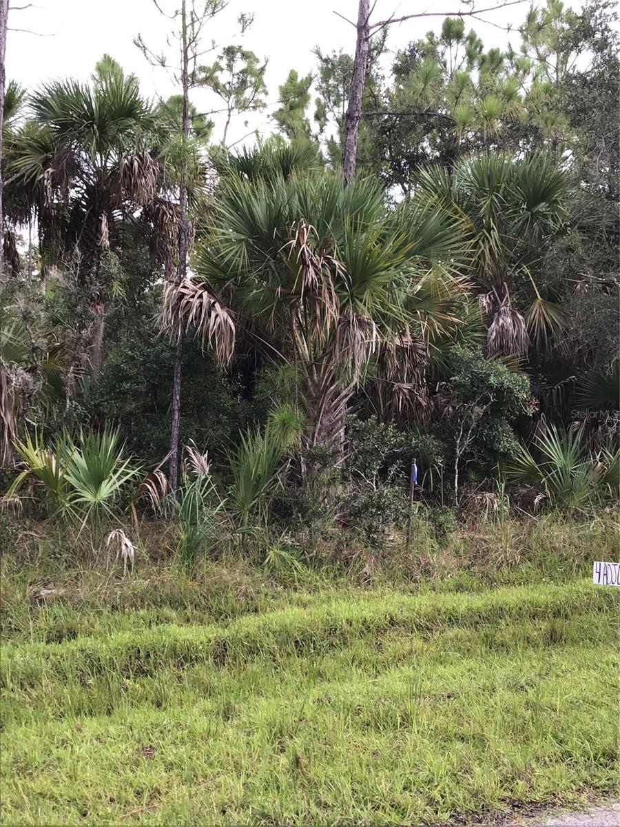 14202,m 14210,14218,14226 HYDRANGEA AVE, PORT CHARLOTTE, FL — photo 6