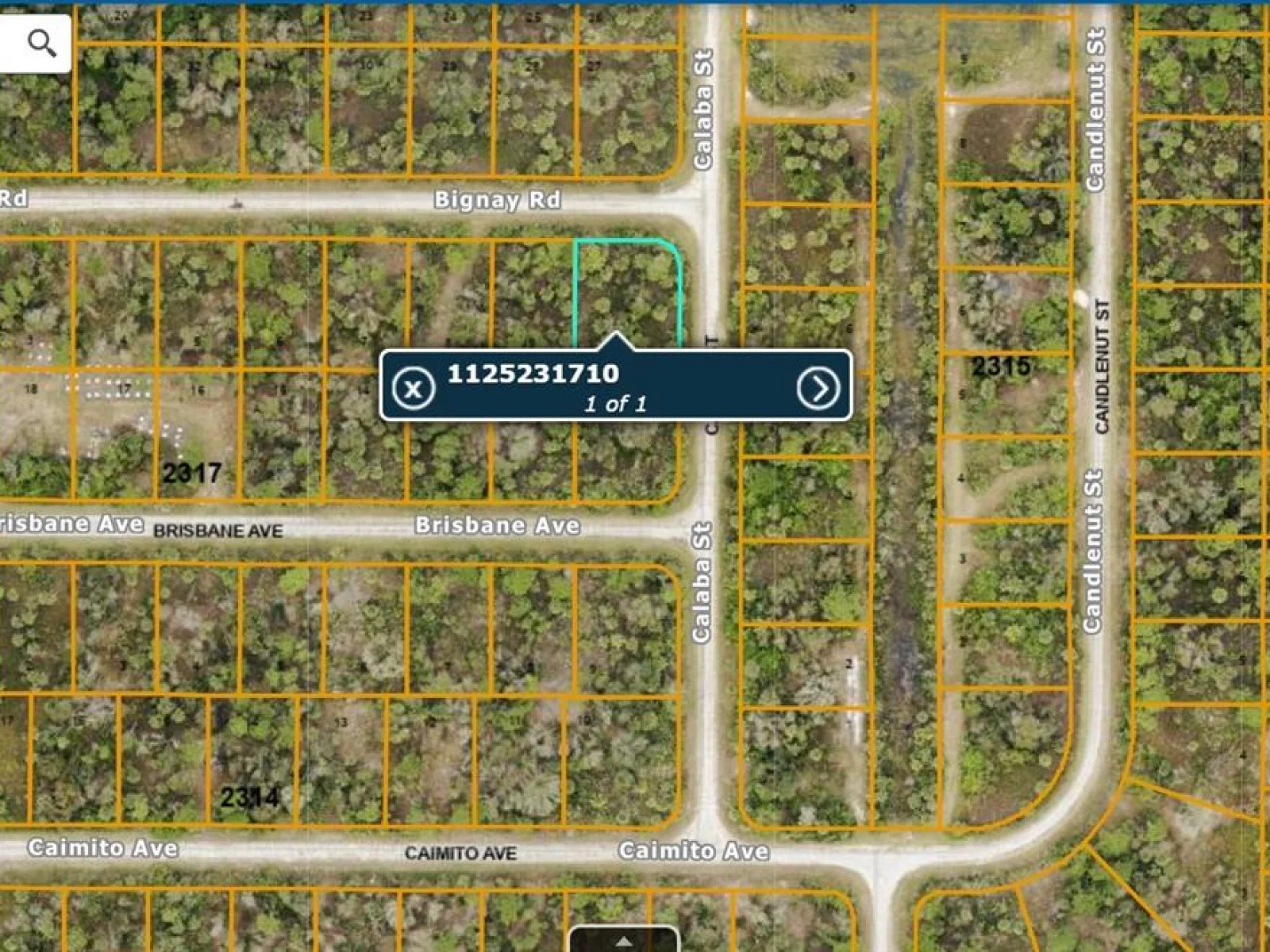 Lot#9 CALABA ST, NORTH PORT, FL — photo 2