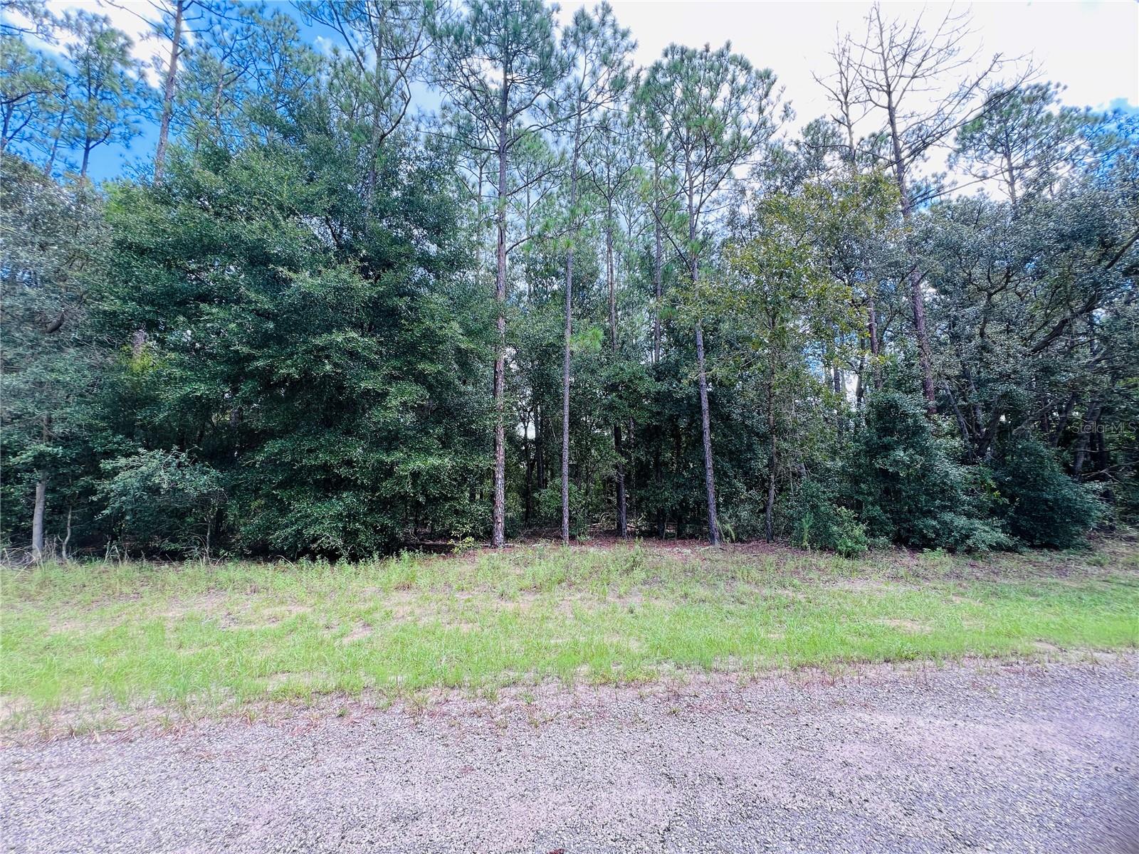 8681 N WALLINGFORD AVE, CITRUS SPRINGS, FL
