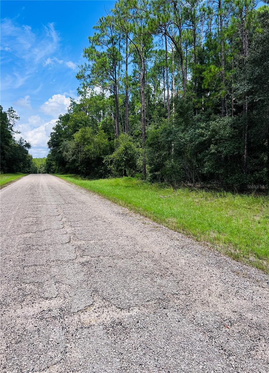 8681 N WALLINGFORD AVE, CITRUS SPRINGS, FL — photo 4