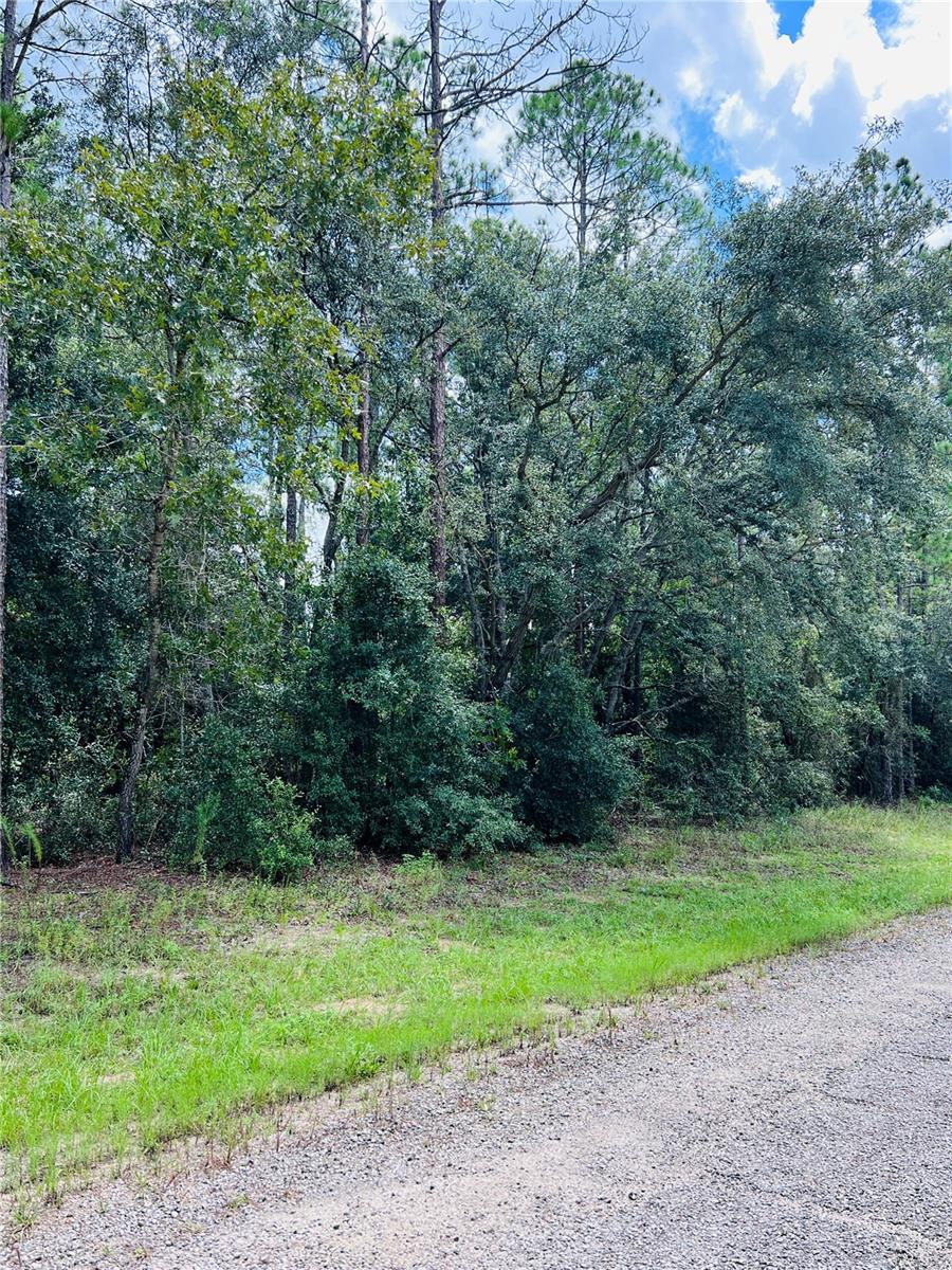 8681 N WALLINGFORD AVE, CITRUS SPRINGS, FL — photo 5