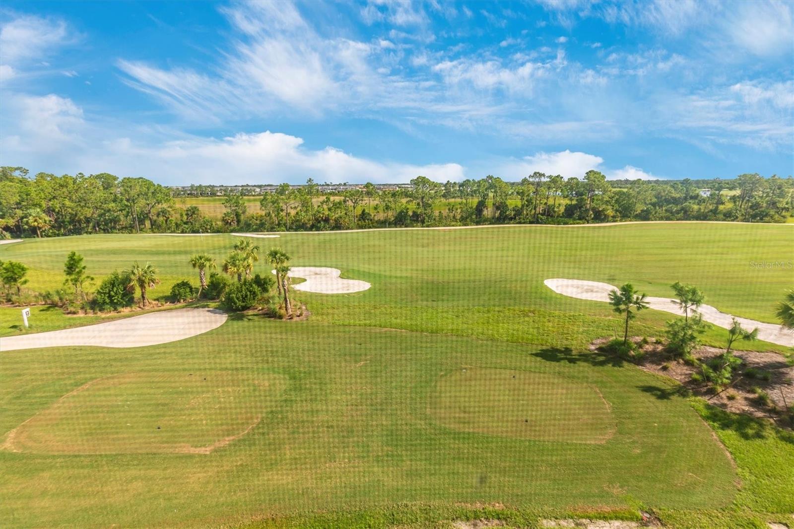 12320 WELLEN GOLF ST #403, VENICE, FL — photo 96