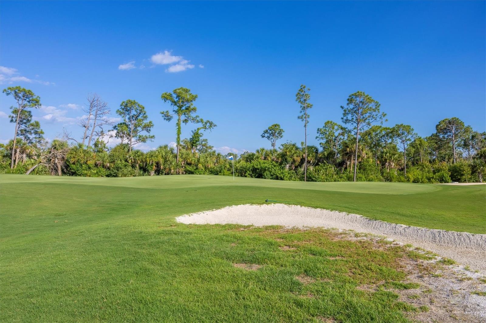 12320 WELLEN GOLF ST #403, VENICE, FL — photo 133