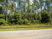 SE STATE ROAD 100 — photo 3