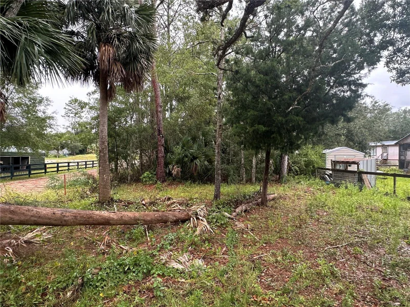 9 7TH ST NE, STEINHATCHEE, FL