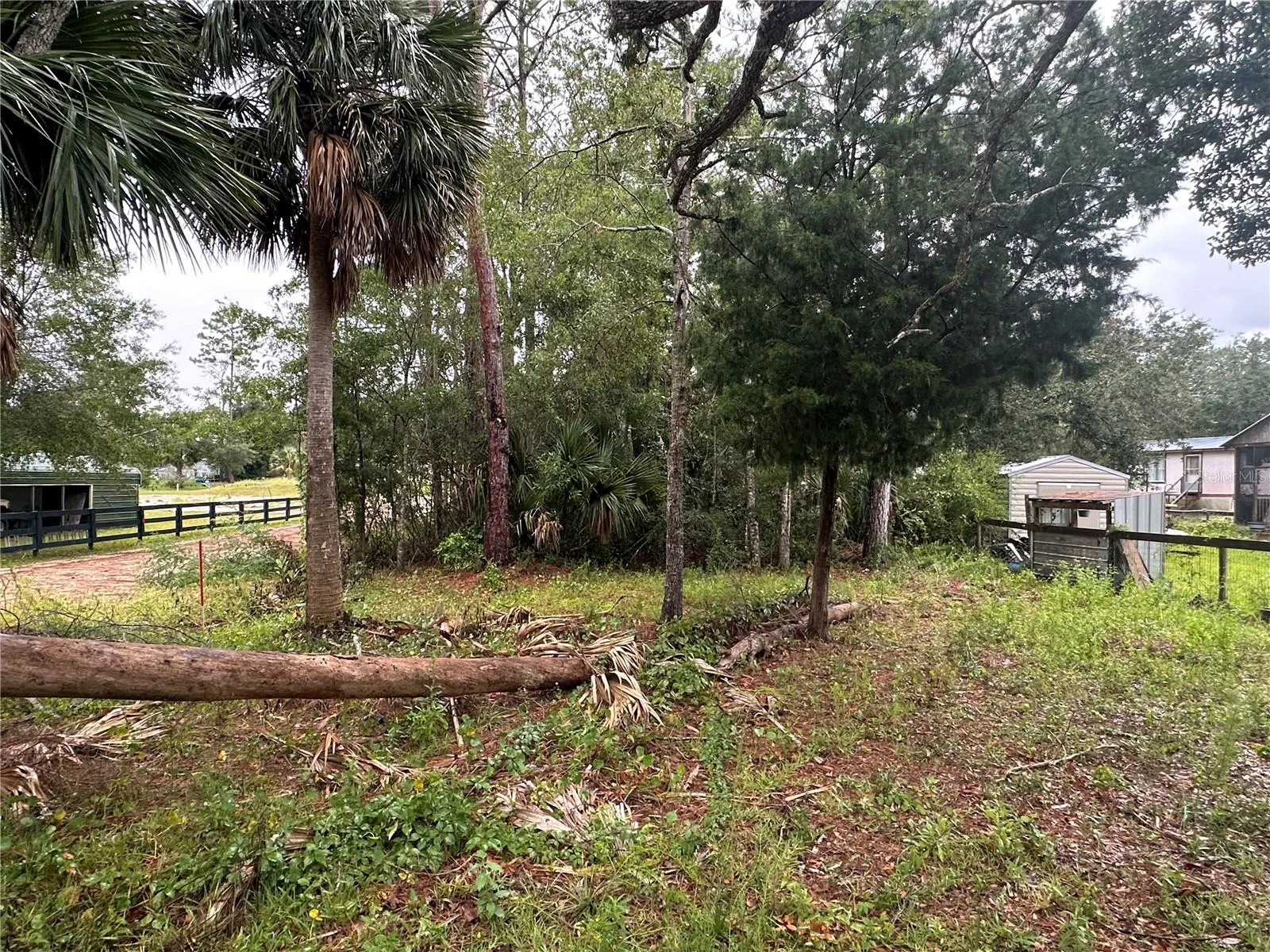 9 7TH ST NE, STEINHATCHEE, FL — photo 1