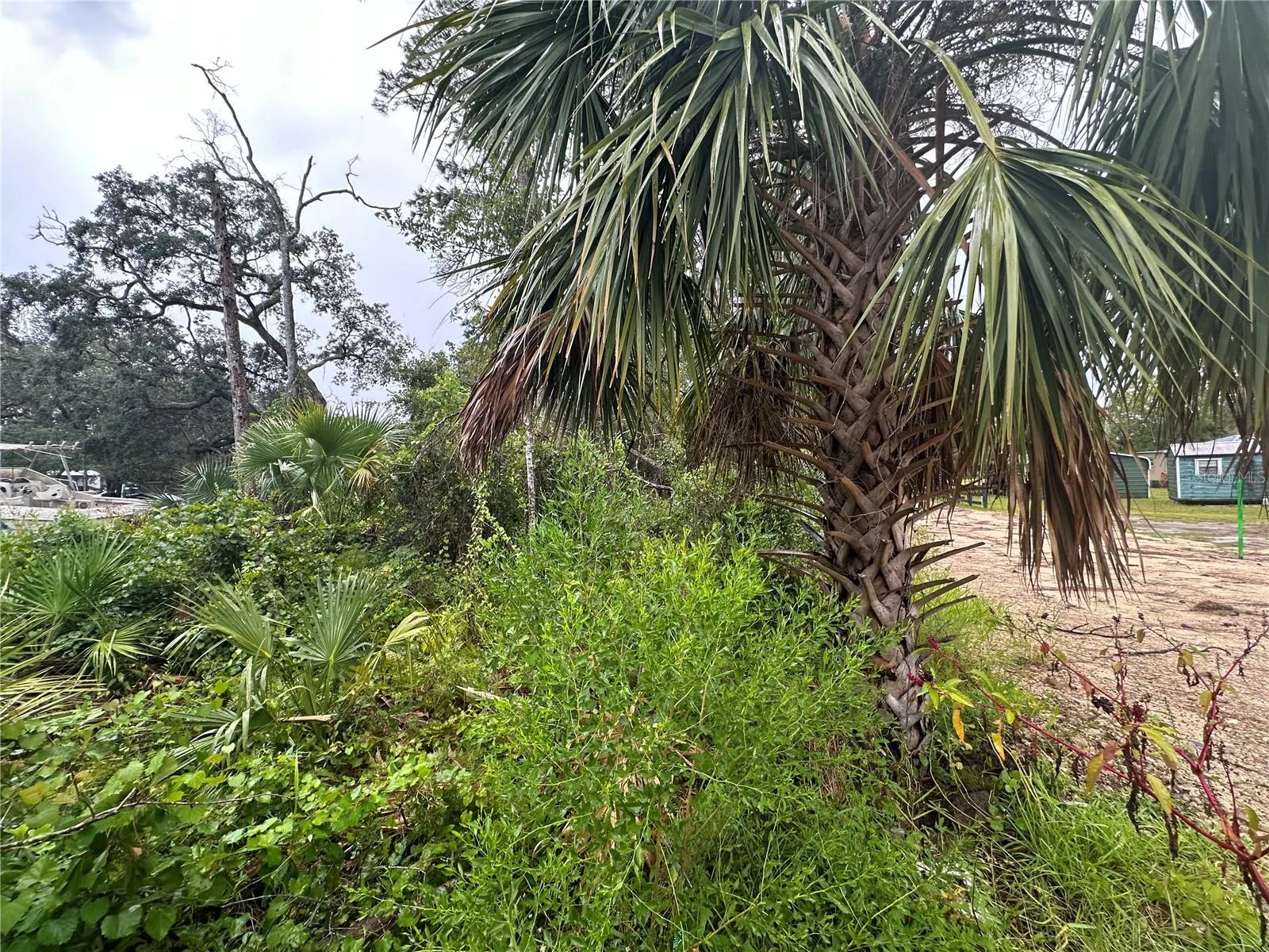 9 7TH ST NE, STEINHATCHEE, FL — photo 3