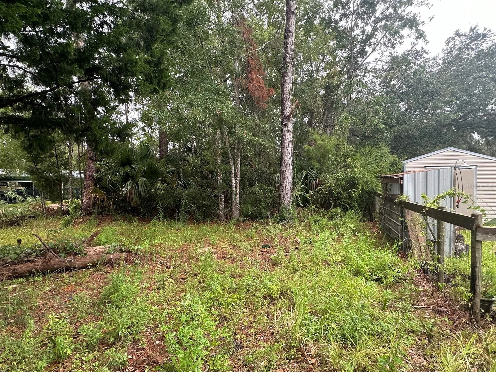 9 7TH ST NE, STEINHATCHEE, FL — photo 4