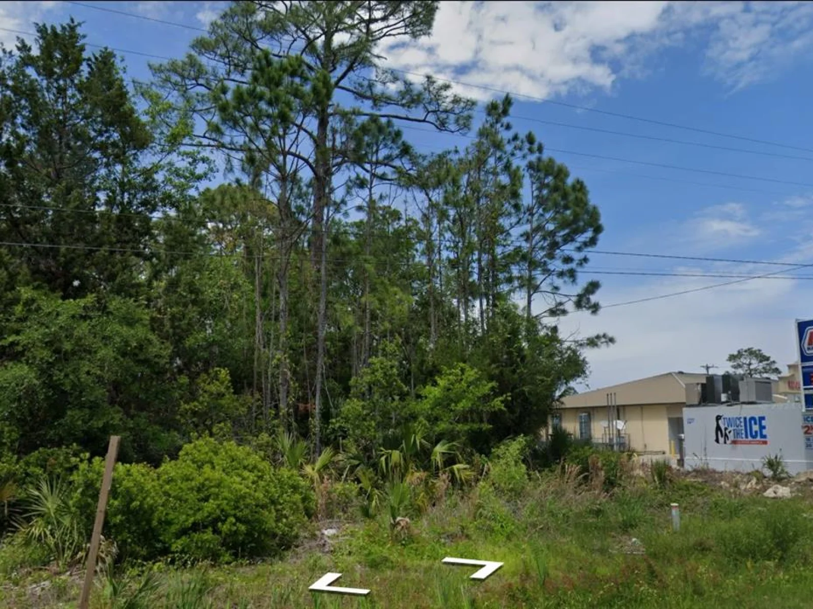 805 1ST AVE SE, STEINHATCHEE, FL — photo 9