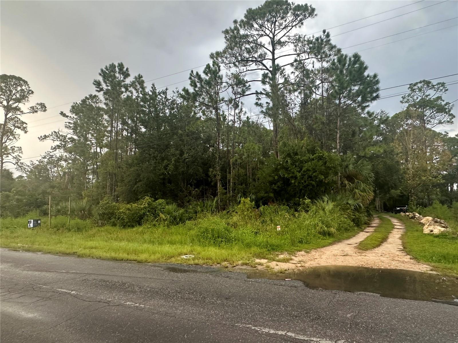 805 1ST AVE SE, STEINHATCHEE, FL — photo 14