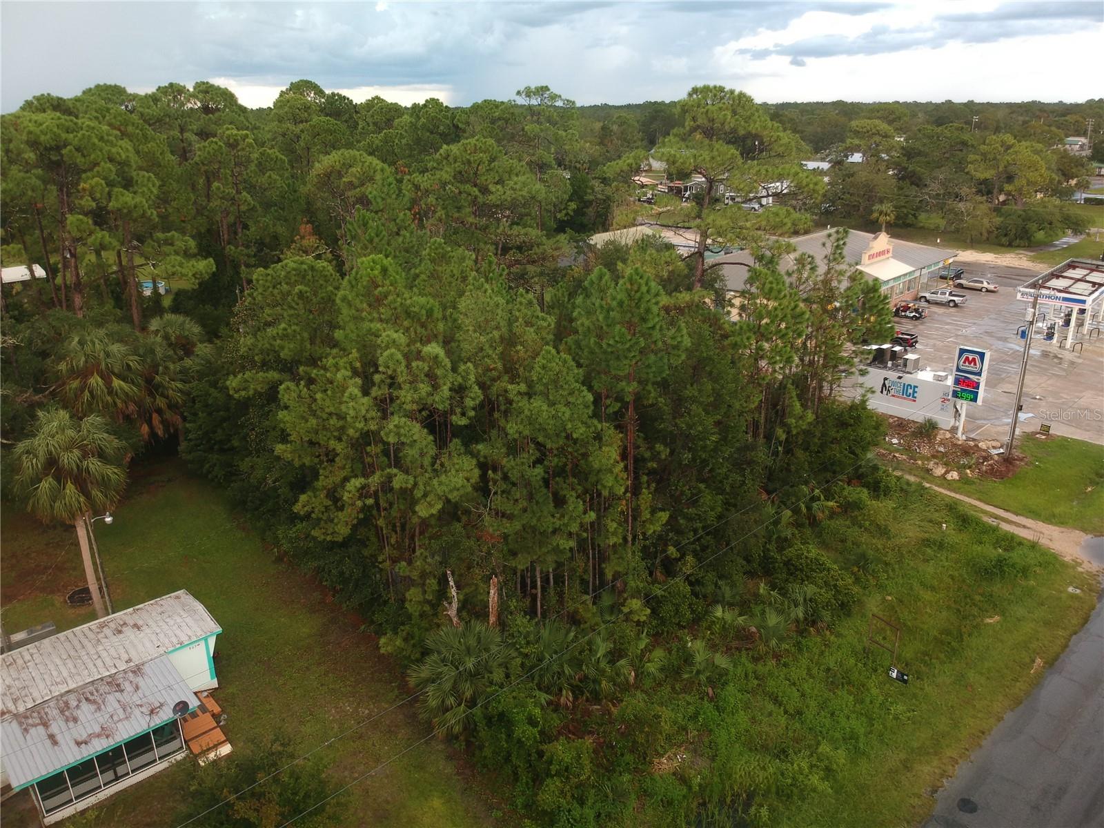 805 1ST AVE SE, STEINHATCHEE, FL