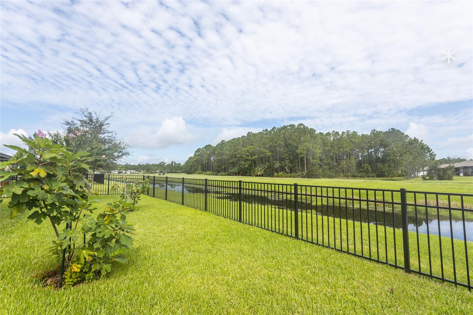 118 GOLFVIEW CT, BUNNELL, FL — photo 22