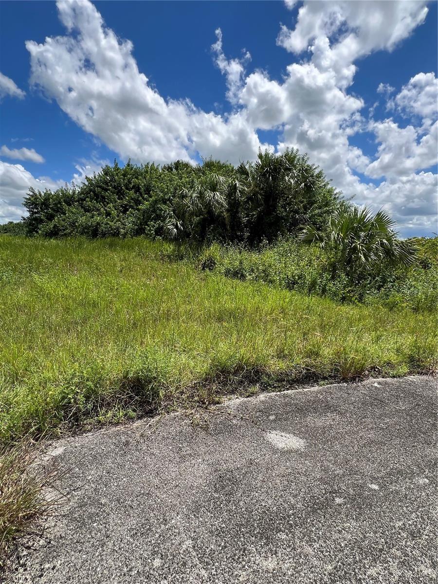 405 ASHCROFT CT, LABELLE, FL — photo 3