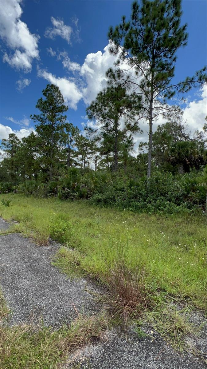 313 JAMES IRWIN TER, LABELLE, FL — photo 3