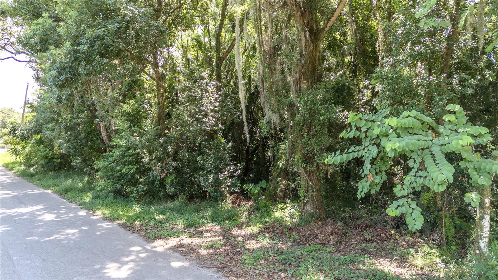 3RD ST, LEESBURG, FL — photo 5