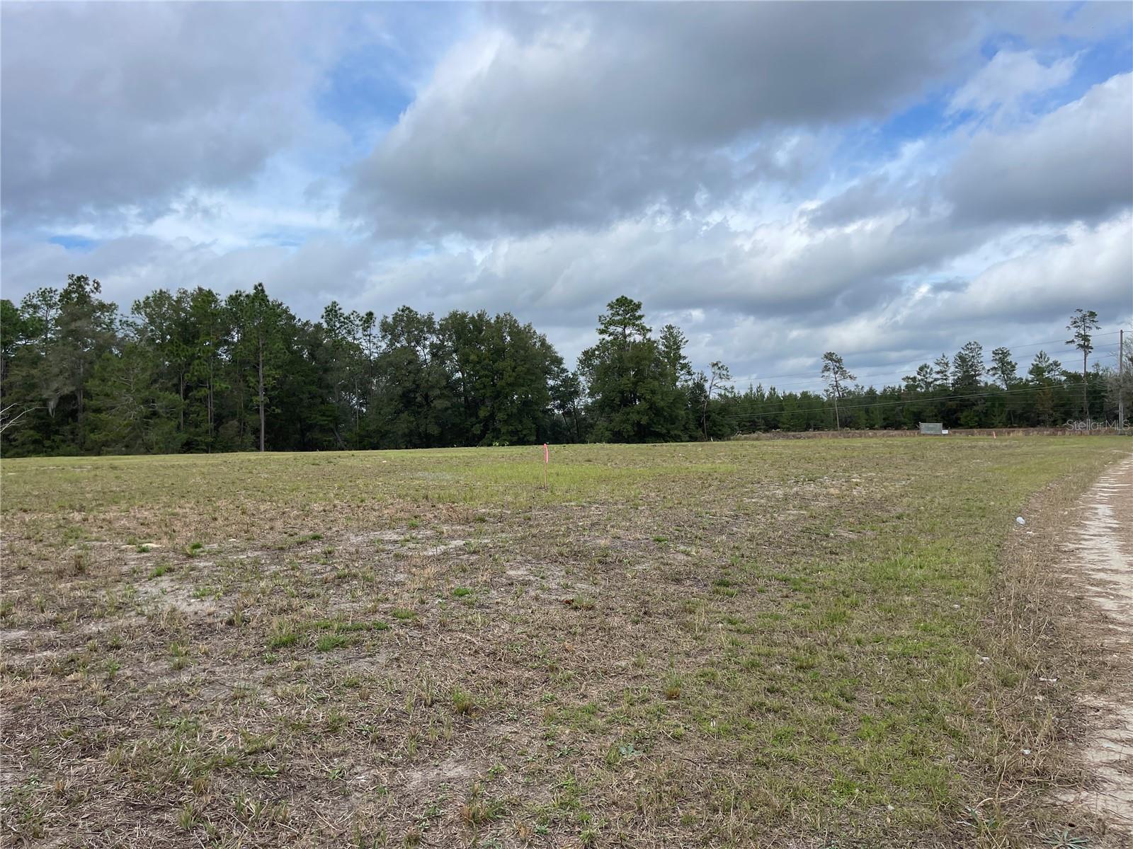 00 NE 108TH CT, BRONSON, FL