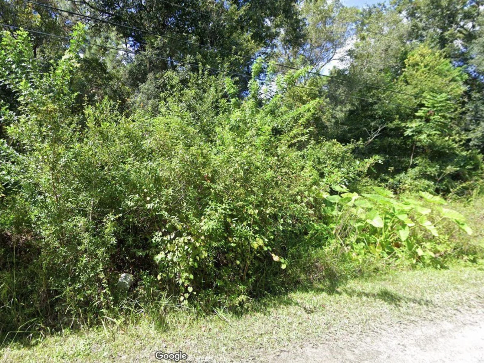 00 WEBB ST, NEW PORT RICHEY, FL — photo 1
