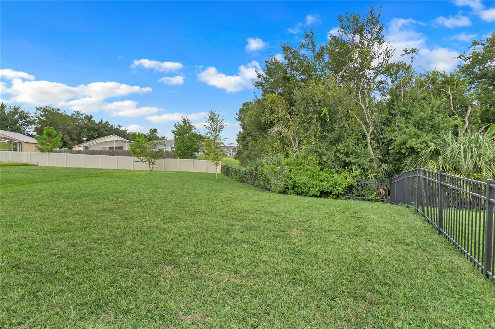 1001 RIVERS CROSSING ST, CLERMONT, FL — photo 66