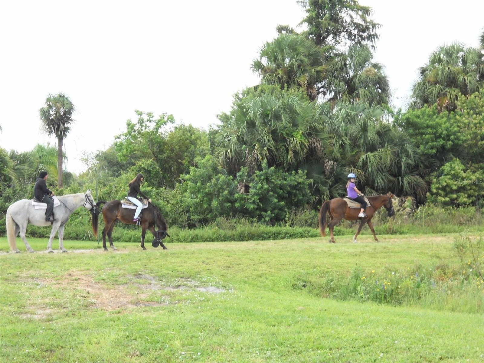 LOT A BURHANS RD, EUSTIS, FL — photo 7