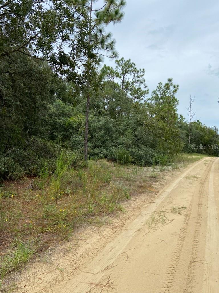 318 S CRESTVIEW AVE, INVERNESS, FL