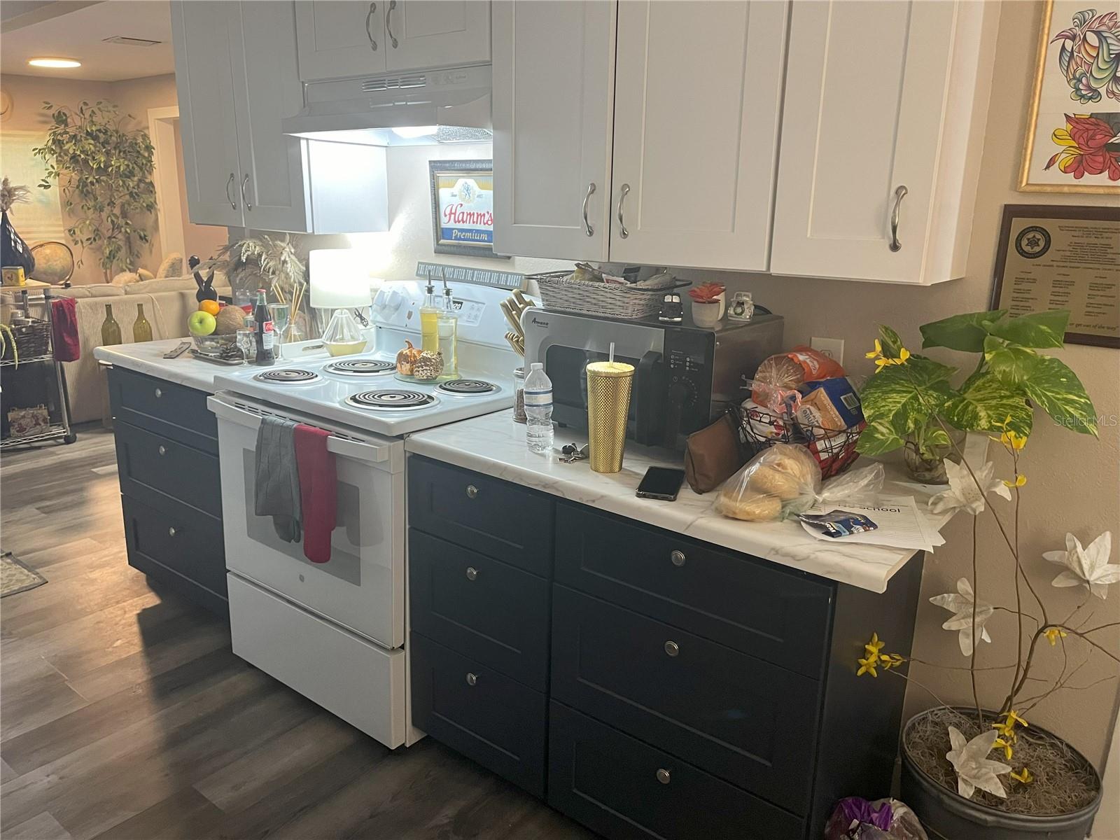1874 DOUGLAS AVE, CLEARWATER, FL — photo 8