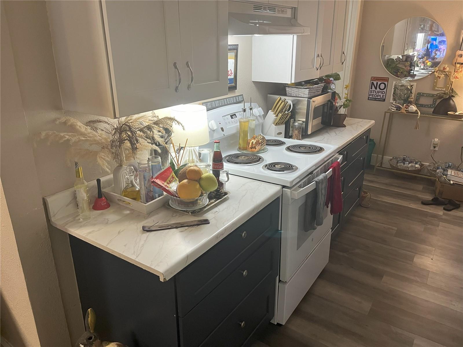 1874 DOUGLAS AVE, CLEARWATER, FL — photo 12