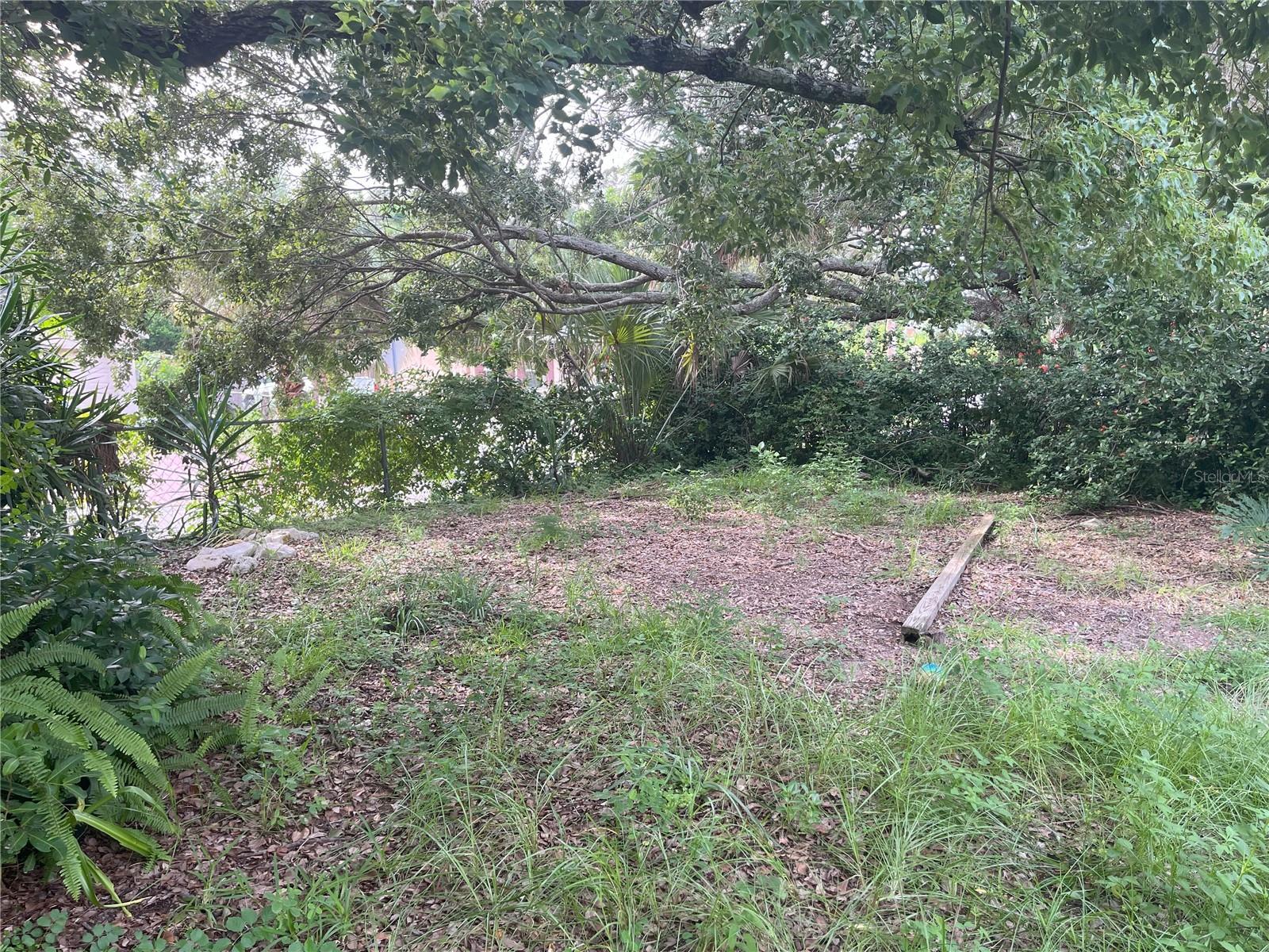 1874 DOUGLAS AVE, CLEARWATER, FL — photo 41