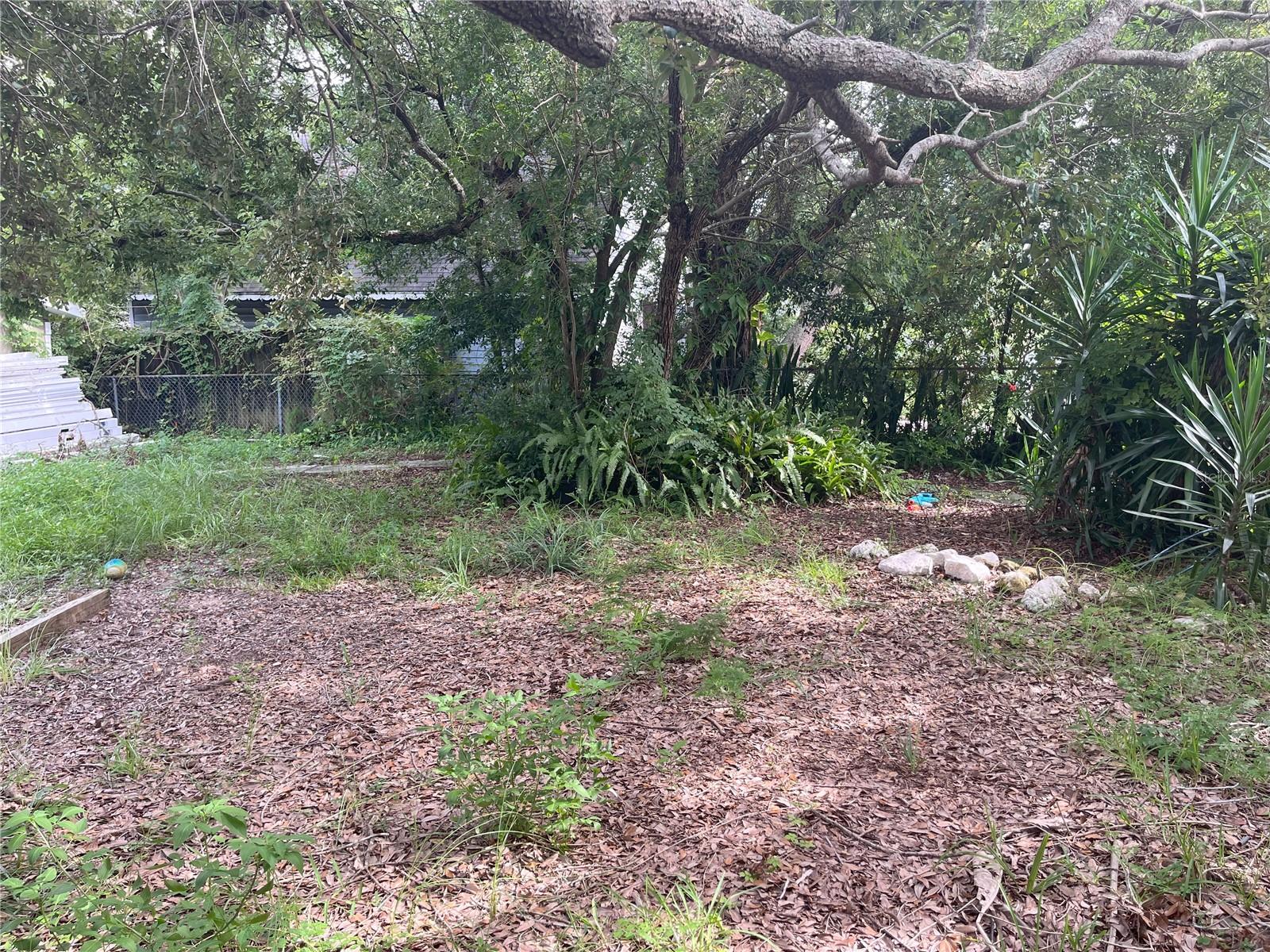 1874 DOUGLAS AVE, CLEARWATER, FL — photo 42