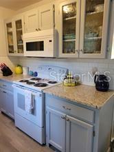 1370 GREENWAY DR, MOUNT DORA, FL — photo 23