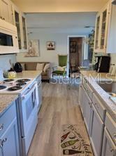 1370 GREENWAY DR, MOUNT DORA, FL — photo 26