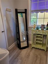 1370 GREENWAY DR, MOUNT DORA, FL — photo 43