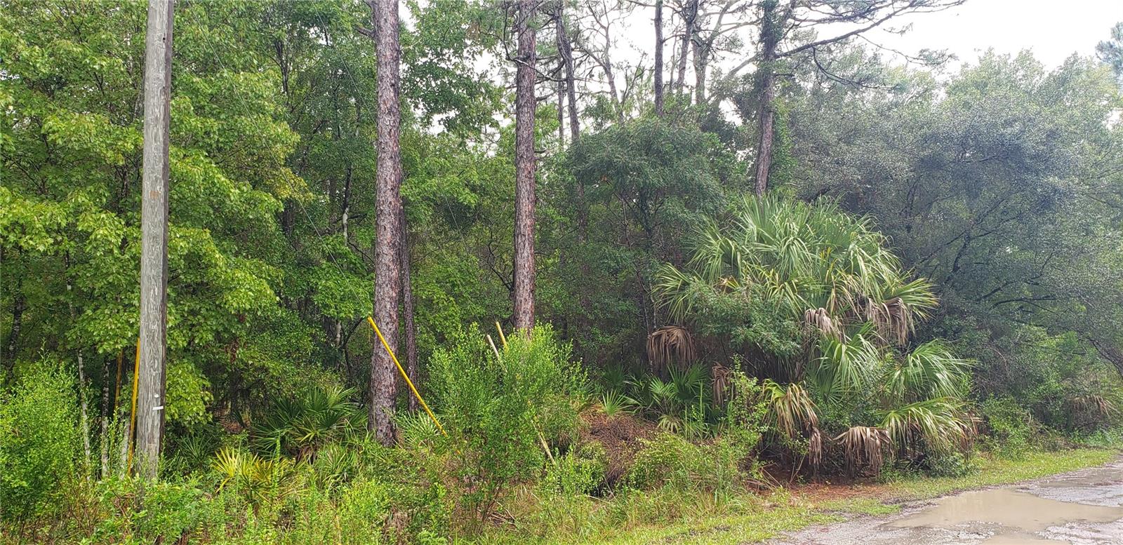 1179 N TESSA TER, CRYSTAL RIVER, FL — photo 2
