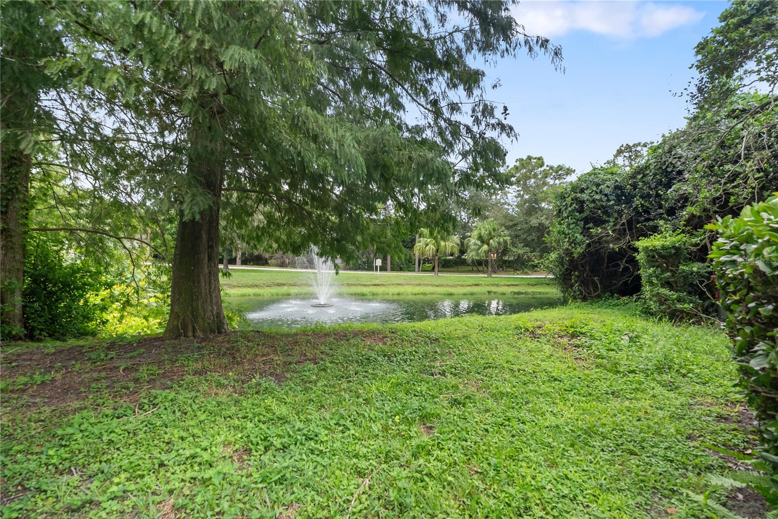303 OLD MILL POND RD #303, PALM HARBOR, FL — photo 38