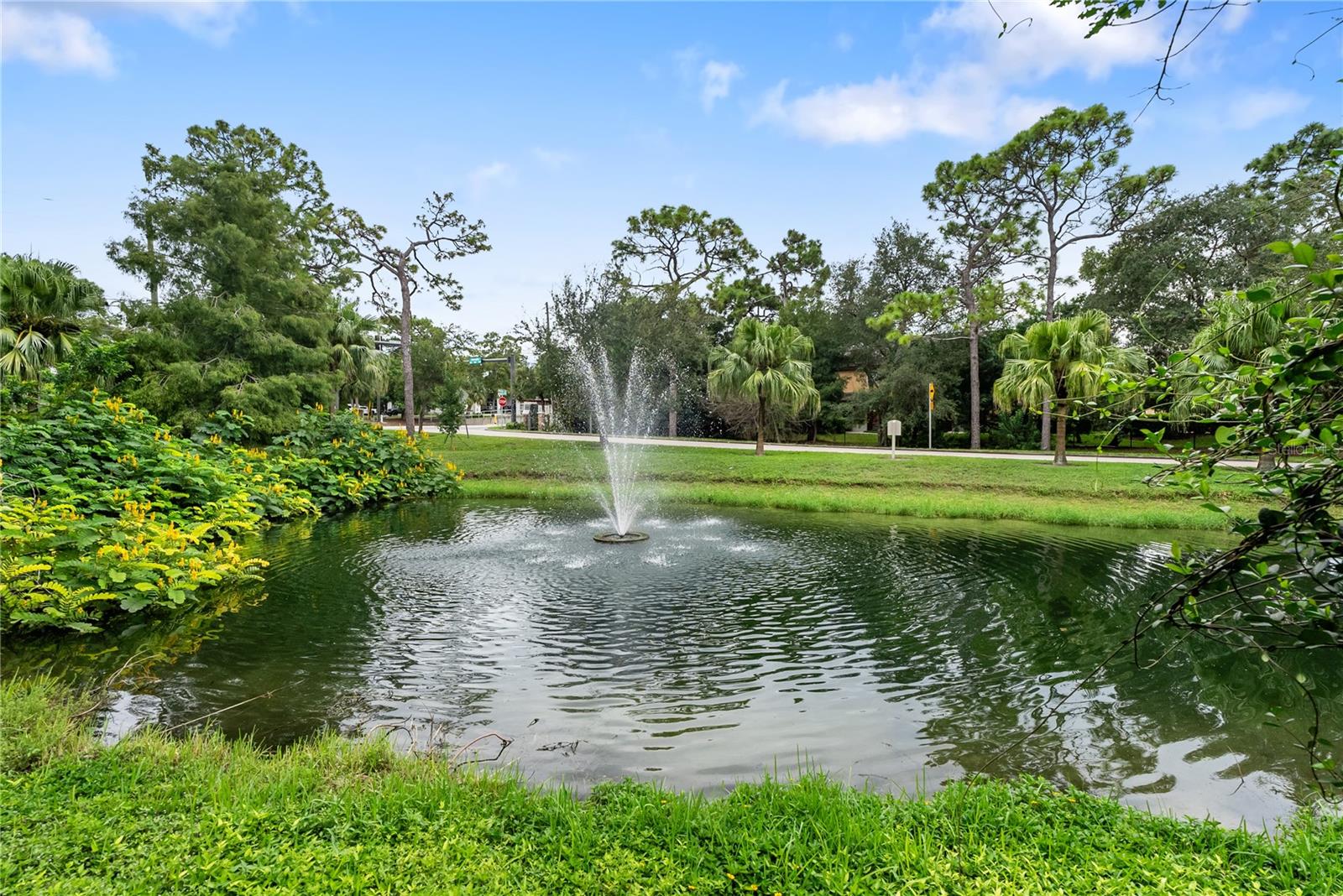 303 OLD MILL POND RD #303, PALM HARBOR, FL — photo 40