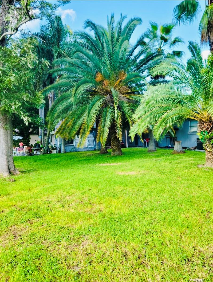 5050 74TH ST N #1, ST PETERSBURG, FL — photo 19