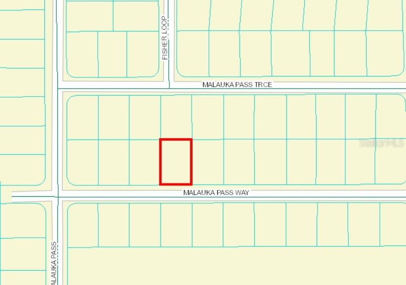 0 MALAUKA PASS WAY, OCKLAWAHA, FL — photo 2