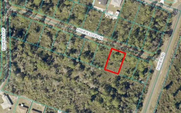 0 FISHER LOOP LN, OCKLAWAHA, FL