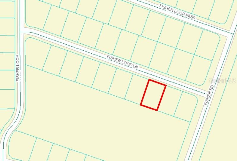 0 FISHER LOOP LN, OCKLAWAHA, FL — photo 2