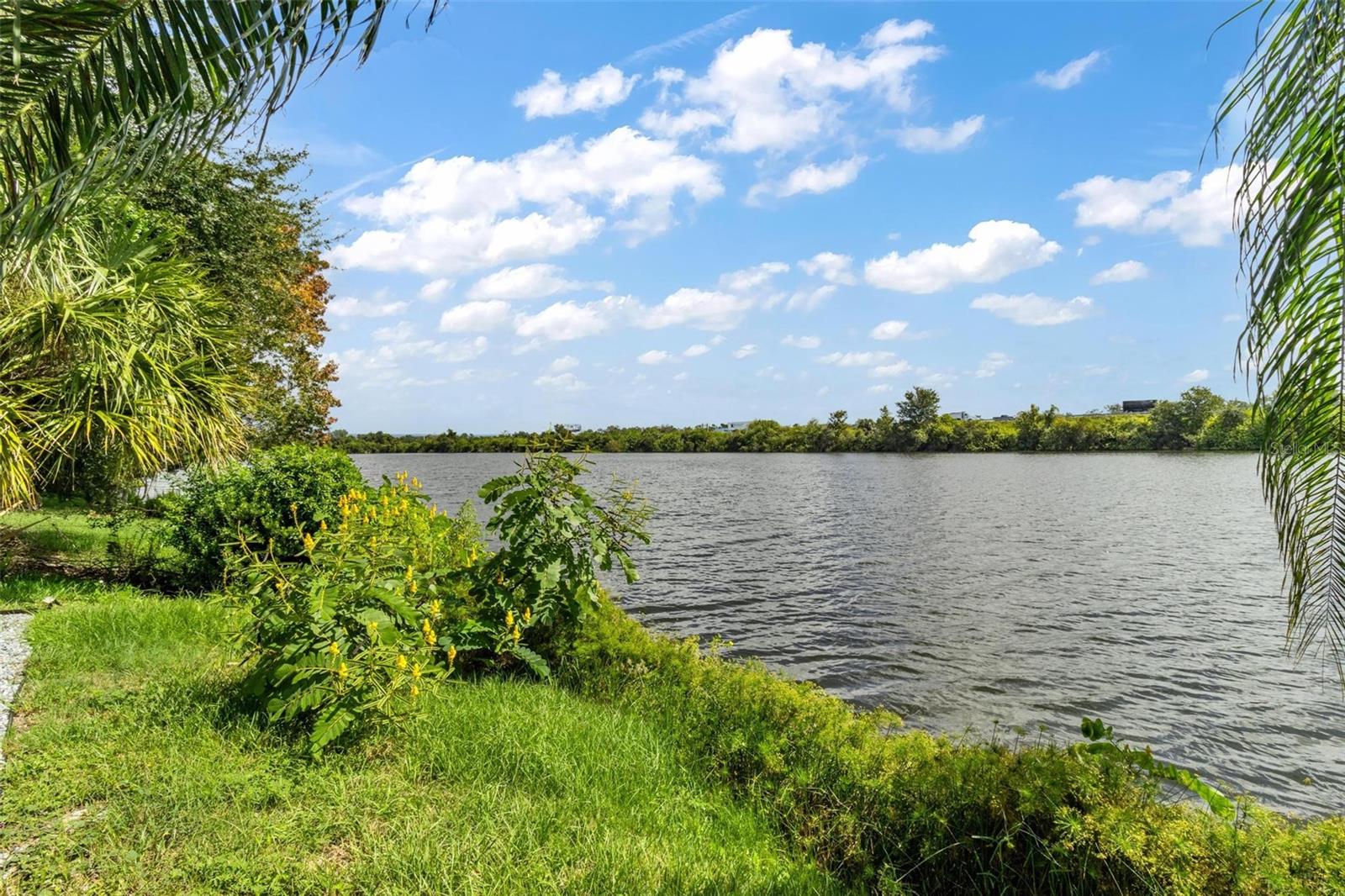 11302 SOUTHWIND LAKE DR, GIBSONTON, FL — photo 104