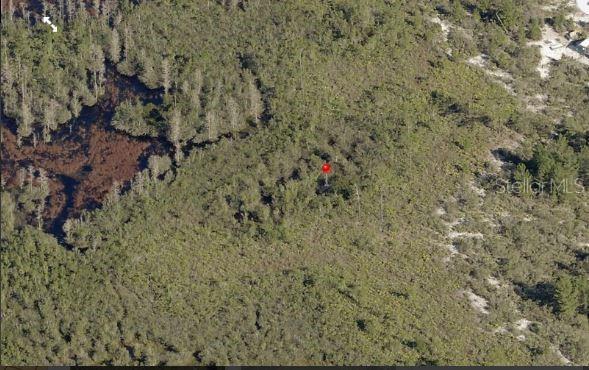 HOLOPAW GROVES RD, ST CLOUD, FL — photo 3