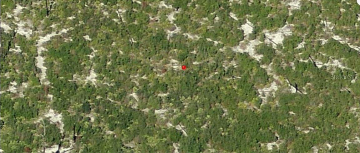 HOLOPAW GROVES RD, ST CLOUD, FL — photo 3