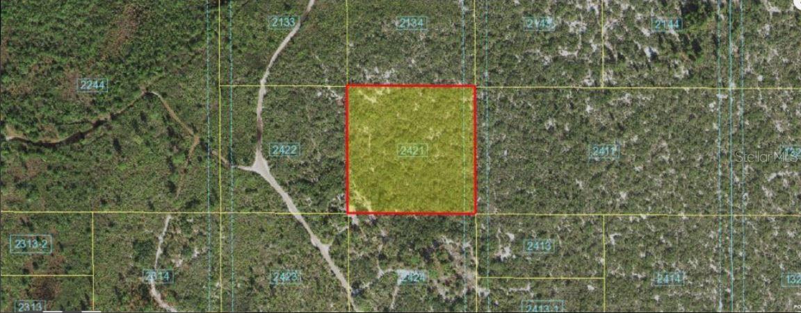 HOLOPAW GROVES RD, ST CLOUD, FL — photo 4