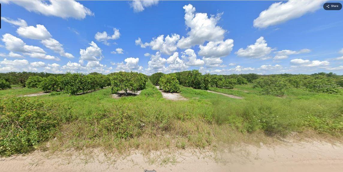 HOLOPAW GROVES RD, ST CLOUD, FL — photo 3