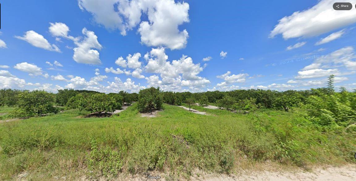 HOLOPAW GROVES RD, ST CLOUD, FL — photo 4