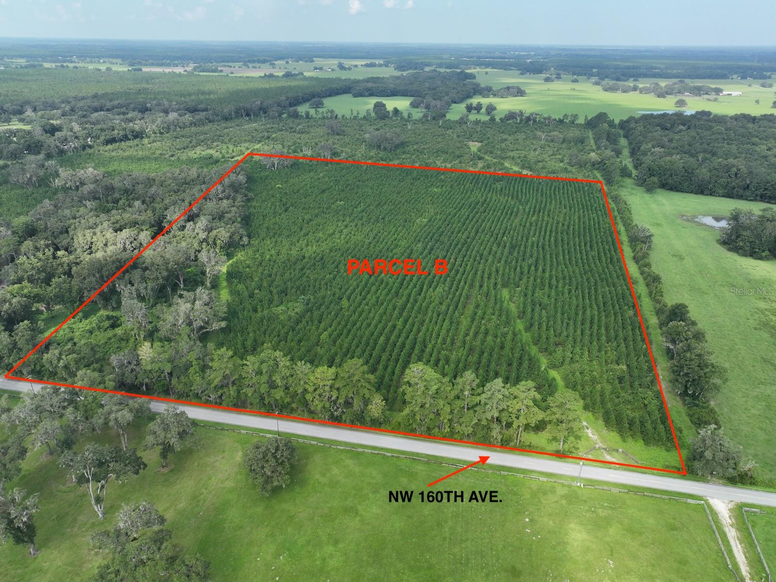 Parcel B NW 160TH AVE, MORRISTON, FL