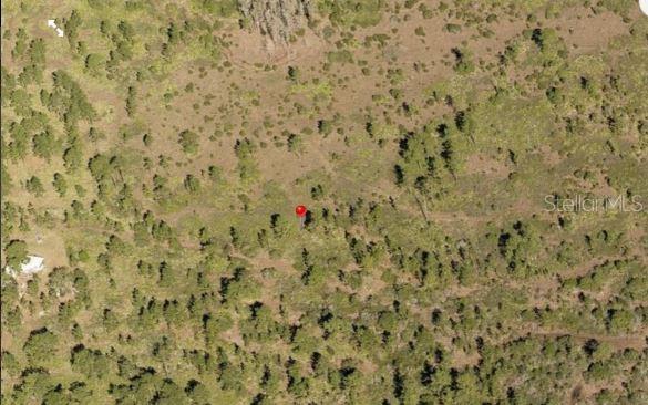 HOLOPAW GROVES RD, ST CLOUD, FL — photo 2