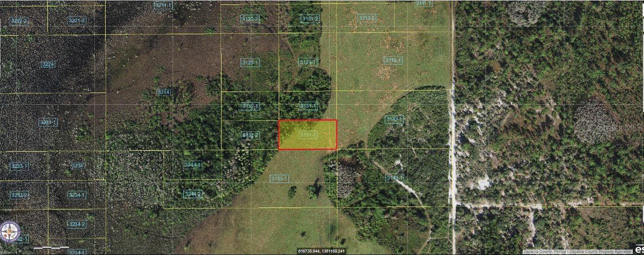 HOLOPAW GROVES RD, ST CLOUD, FL — photo 2