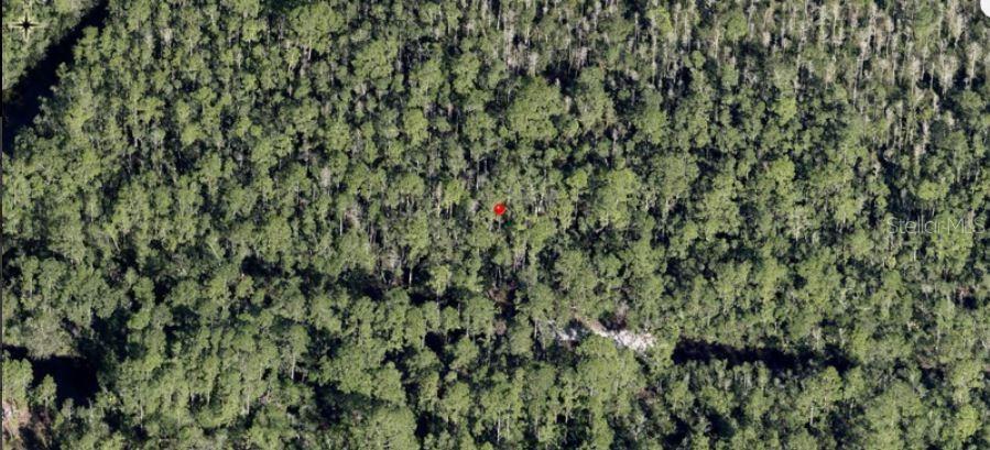 HOLOPAW GROVES RD, ST CLOUD, FL — photo 2